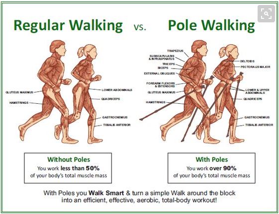 Nordic Walking - Benefits